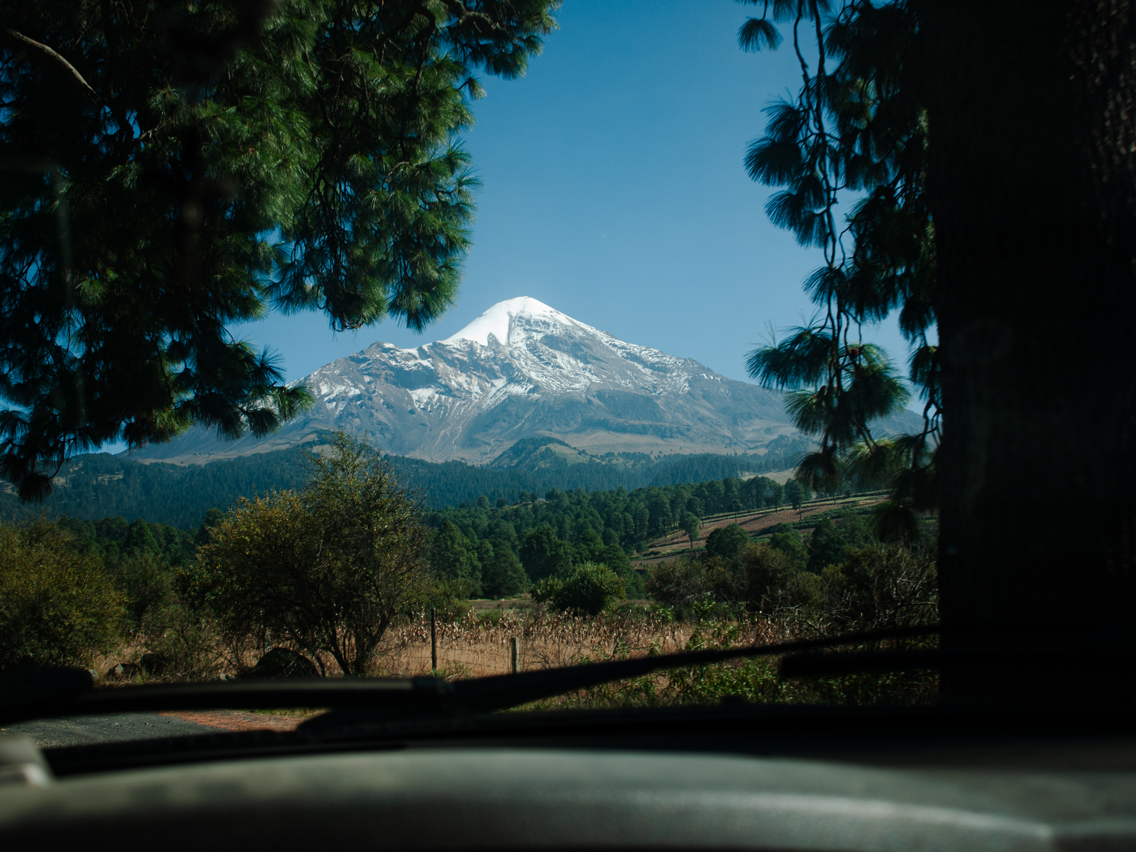 Pico de Orizaba seen from the expedition van, framed by pine trees